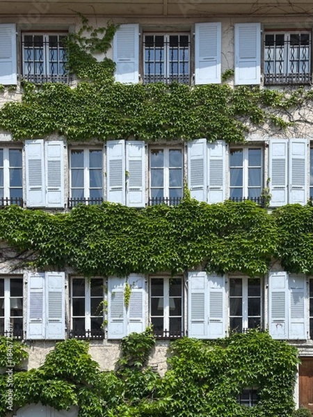 Obraz Old building facade with green ivy and light blue shutters