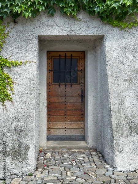 Obraz Rustic Wooden Doorway with Ivy and Potted Topiary