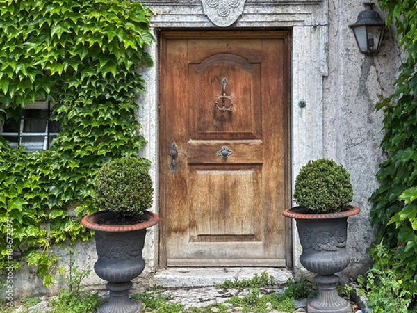 Obraz Rustic Wooden Door in an Ivy-Covered Stone Wall