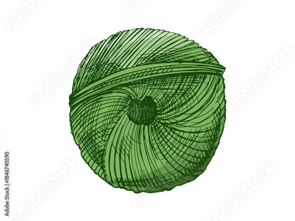Obraz Hand drawn vintage sketch of green yarn ball in engraving style, isolated vector illustration