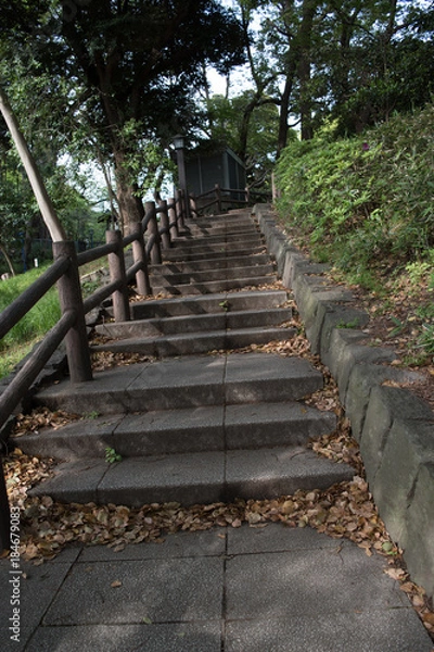 Fototapeta 公園の階段