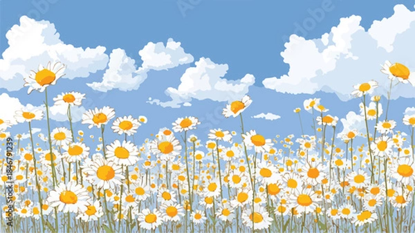 Obraz Bright Daisy Field Beneath Clear Sky - Vector Illustration
