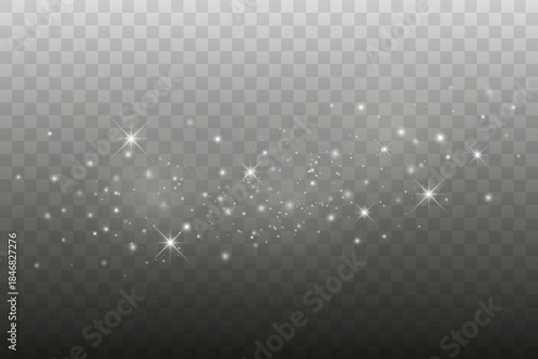Obraz Elegant Glowing Dust and Sparkling Lights Overlay, Vector