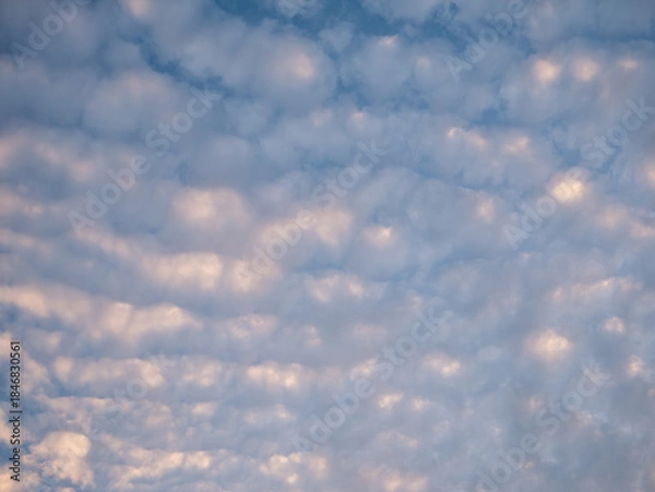 Obraz Altocumulus Stratiformis Clouds: Beautiful Blue Sky and White Fluffy Clouds Pattern with Sun Rays Background