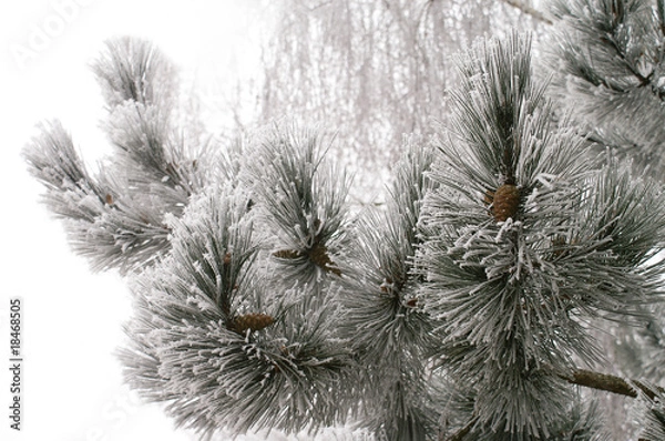 Obraz Kalte Jahreszeit