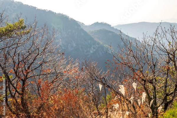 Fototapeta 관악산