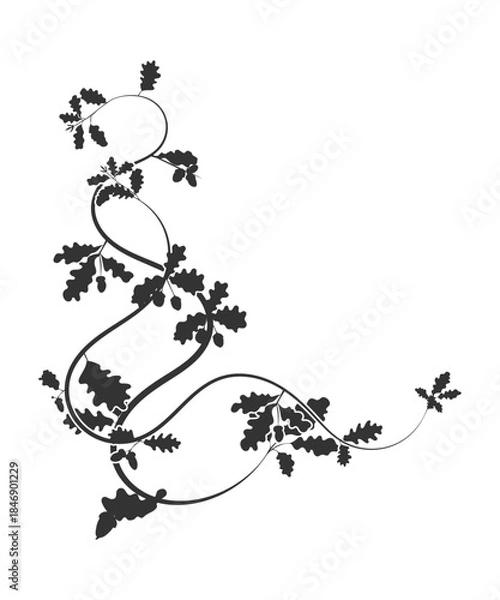 Fototapeta Adobe Illustrator Artwork