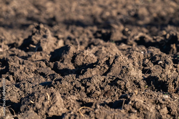 Obraz plowed black soil