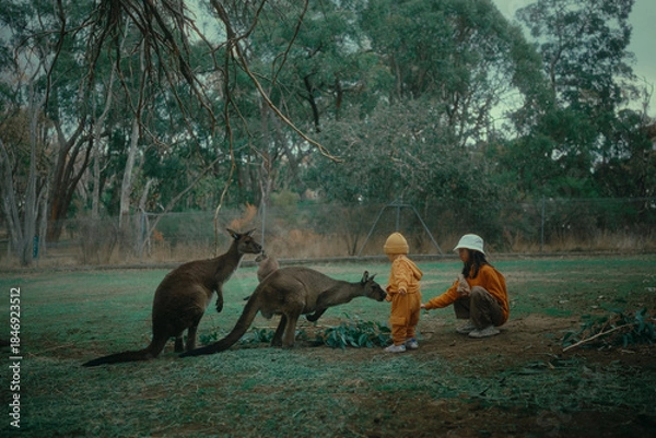 Obraz A child in a bright orange outfit happily interacts with friendly kangaroos in a peaceful outdoor setting