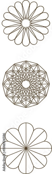 Fototapeta Radial pattern circular line art set