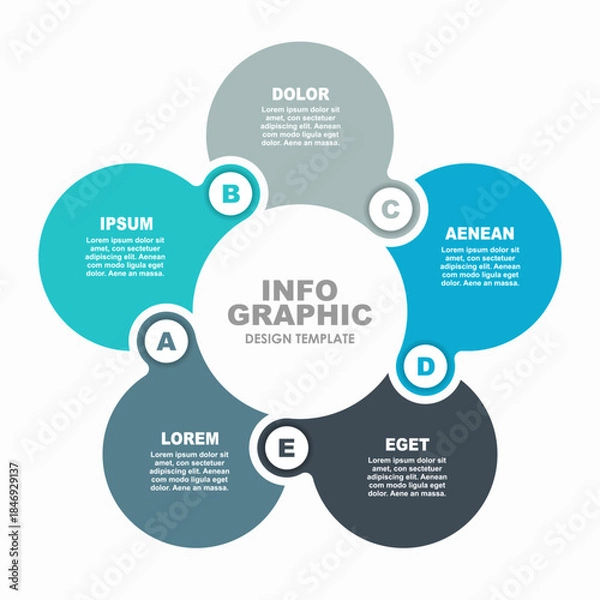 Obraz Circular infographic with five labeled segments, ideal for presenting structured data or concepts in a visual format. Vector.