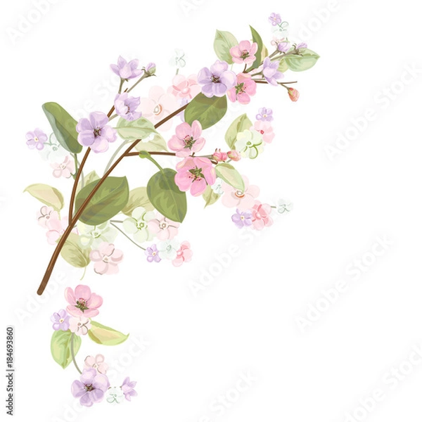 Obraz Spring blossom (bloom), branches with mauve, pink apple tree flowers. Bouquet light floret, buds, green leaves on white background. Digital draw, close-up in watercolor style, vintage, vector