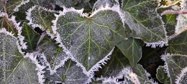 Obraz Herz am Rand gefroren