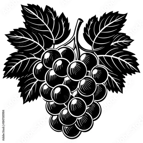 Obraz Grape Bunch with Leaves Silhouette Vector Illustration