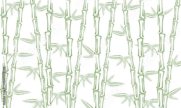 Obraz Bamboo background in grunge style. Bamboo tree and leaves pattern.