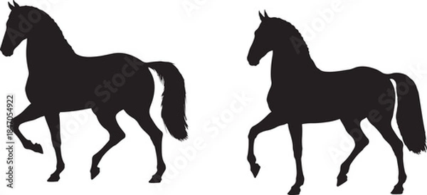 Obraz Two black horse silhouettes in a high stepping gait