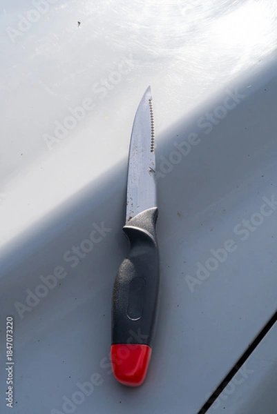Obraz Serrated knife with black handle and red tip placed on light surface.