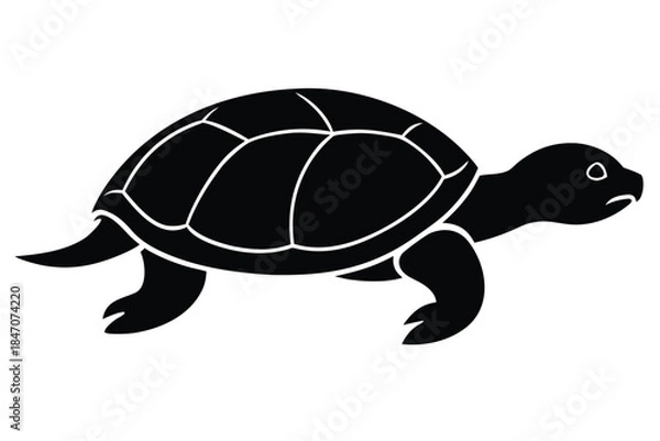 Obraz crawling turtle vector icon silhouette