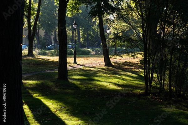 Obraz Park in der Morgensonne