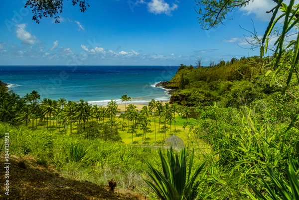 Fototapeta Hawaii, Kuai
