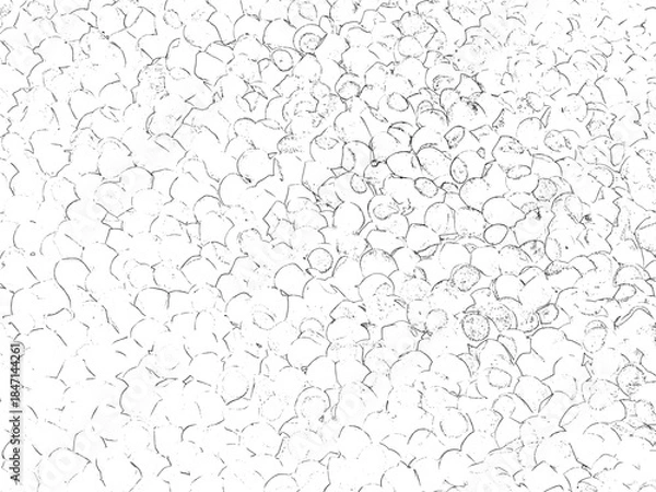 Obraz Subtle Abstract Light Gray Outline of Cluster Shapes Pattern