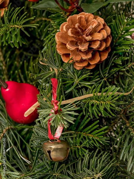 Fototapeta natural spruce branches decorated with pine cones