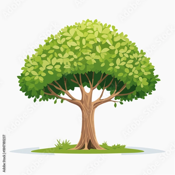 Obraz tree with green leaves