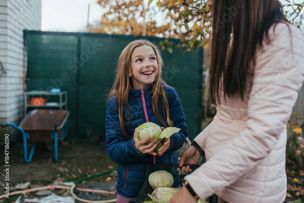 Obraz Photo, portrait of happy child, smiling teenage girl, daughter and young woman mother in the garden in autumn with a harvest of many green cabbage in a box.