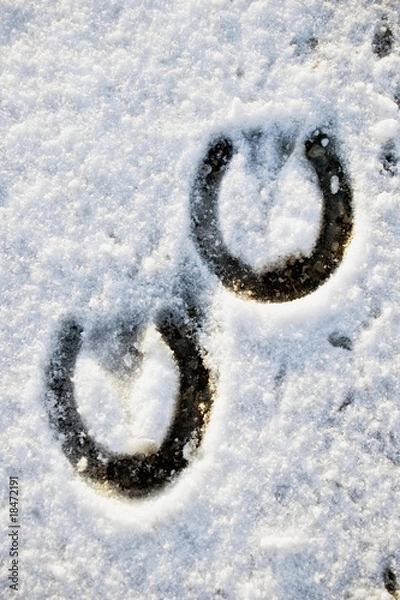 Obraz Hufabdrücke im Schnee