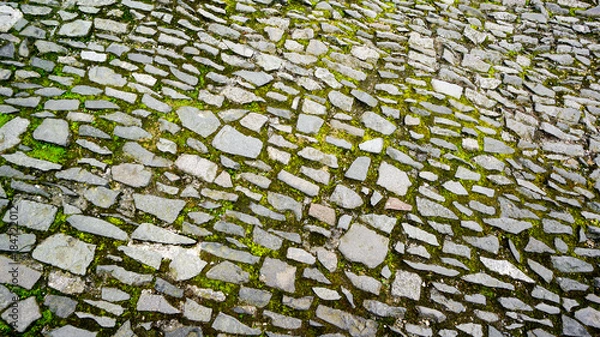 Fototapeta Cobblestone path