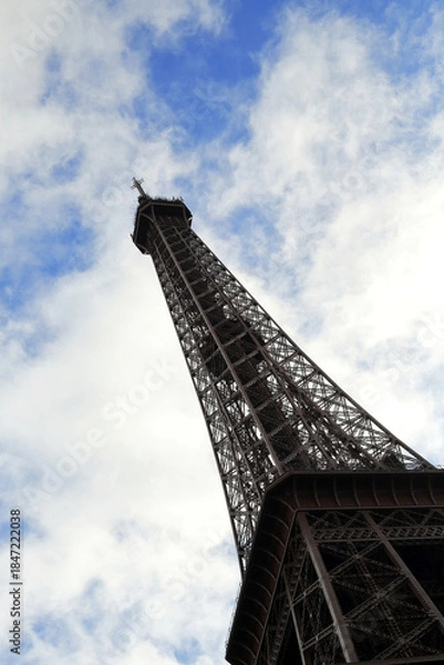 Obraz Reaching the Sky