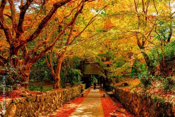 Obraz 両子寺の紅葉