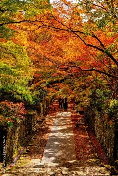 Obraz 両子寺の紅葉