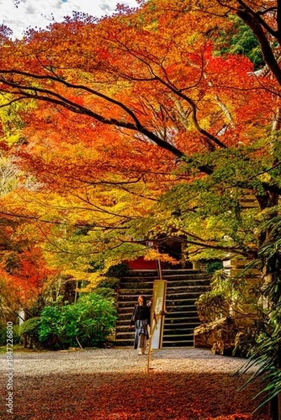 Obraz 両子寺の紅葉