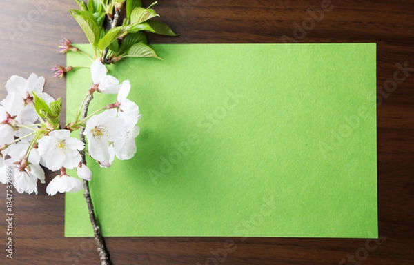 Obraz 桜のモックアップ