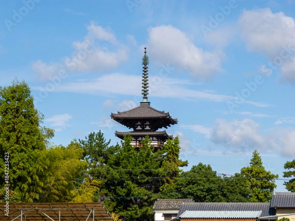 Fototapeta 奈良県の奈良市の郊外にある世界遺産の東棟を周囲の田んぼから見える景色