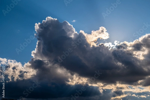 Obraz 大阪、高井田、Osaka Metro中央線、JRおおさか東線、交通、鉄道、青空、雲、川、橋、林木、水