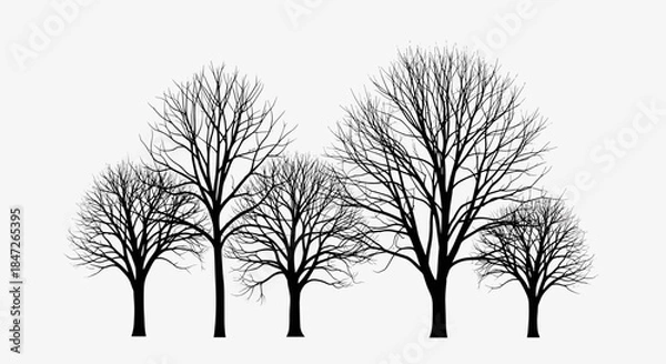 Obraz Bare Deciduous Tree Silhouettes Vector Set - Winter Forest Elements