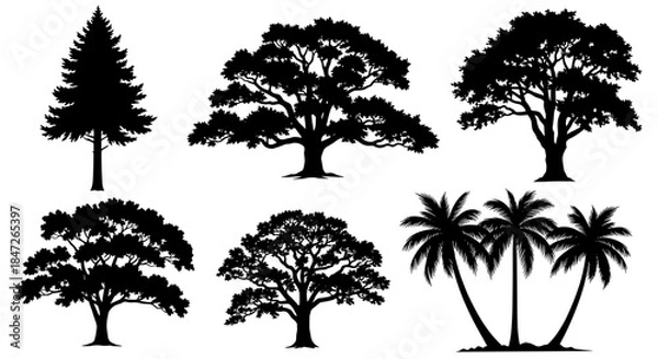 Obraz Assorted Tree Silhouettes Vector Set - Coniferous, Deciduous, and Palm Trees