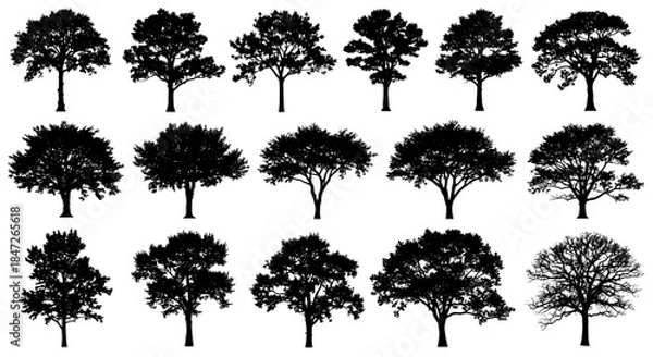 Obraz Diverse Collection of Deciduous and Coniferous Tree Silhouettes Vector Set