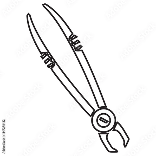 Obraz Dental Forceps Outline