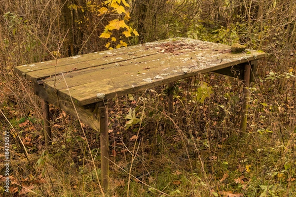 Obraz tisch im wald