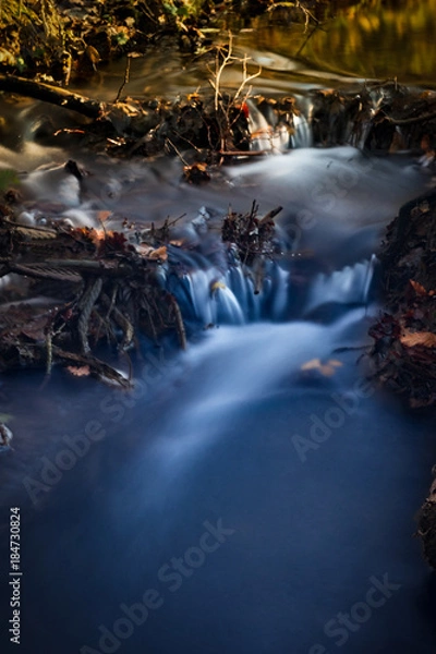 Obraz ein kleiner Bach am Waldrand III