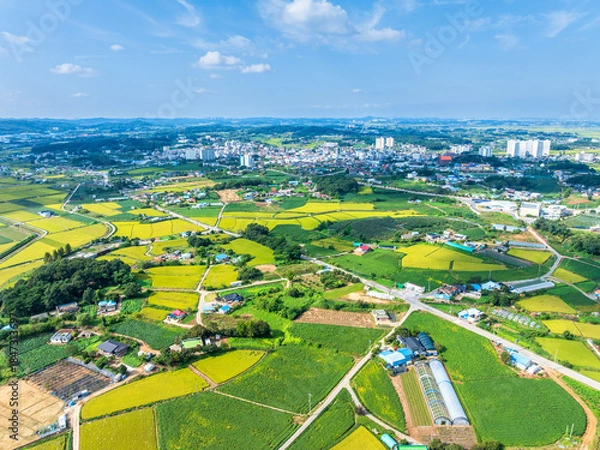 Obraz 충남 당진시 합덕읍 농촌의 여름 풍경