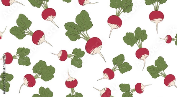 Fototapeta A seamless pattern of fresh red radishes with green leafy tops scattered across a white background, perfect for culinary textiles.