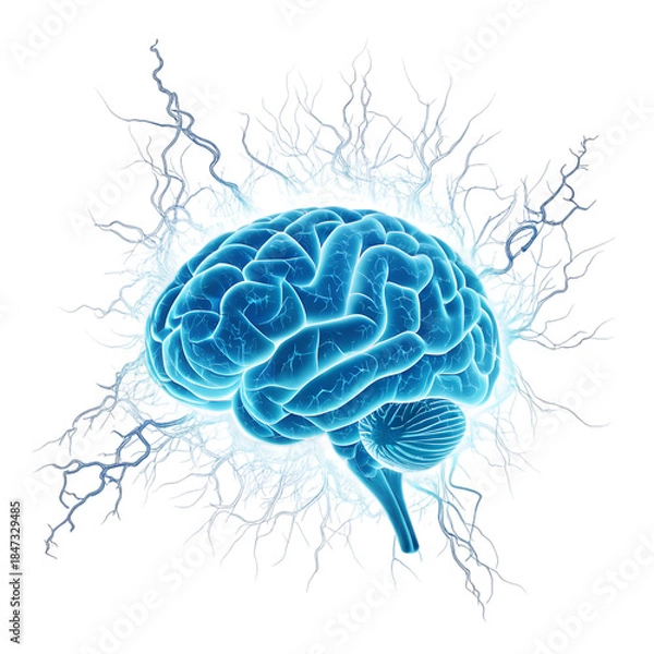 Obraz Digital Brain Network Illustration on transparent background