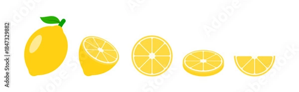 Obraz lemon vector in various slices