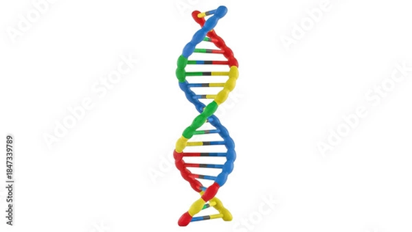 Fototapeta Colorful dna double helix structure isolated on transparent background