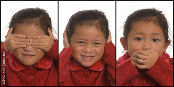 Fototapeta see hear and speak no evil