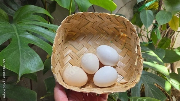 Fototapeta easter eggs in a basket